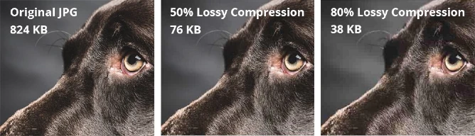 Lossy vs Lossless image optimization Performance and Quality of images